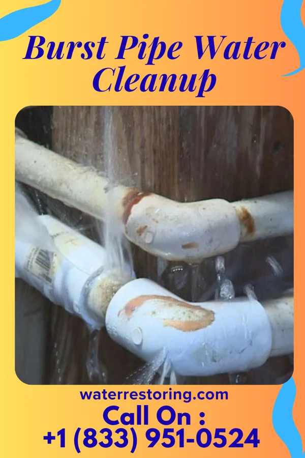 Burst Pipe Water Cleanup in Northlakes, NC