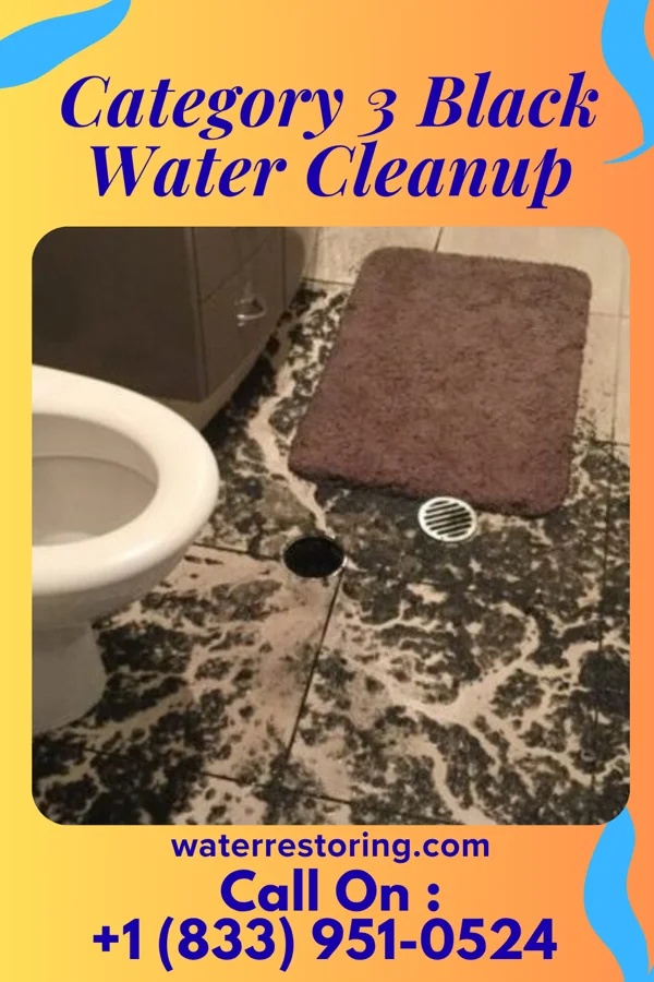 Category 3 Black Water Cleanup in Northlakes, NC